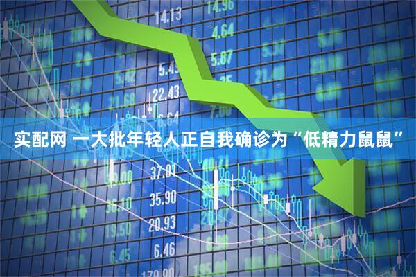 实配网 一大批年轻人正自我确诊为“低精力鼠鼠”