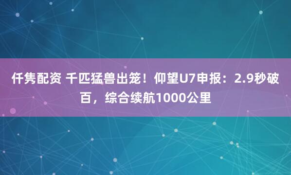 仟隽配资 千匹猛兽出笼!仰望U7申报:2.9秒破百,综合续航1000公里