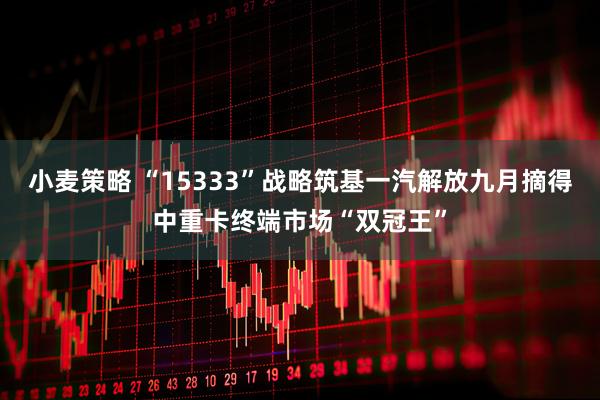 小麦策略 “15333”战略筑基一汽解放九月摘得中重卡终端市场“双冠王”