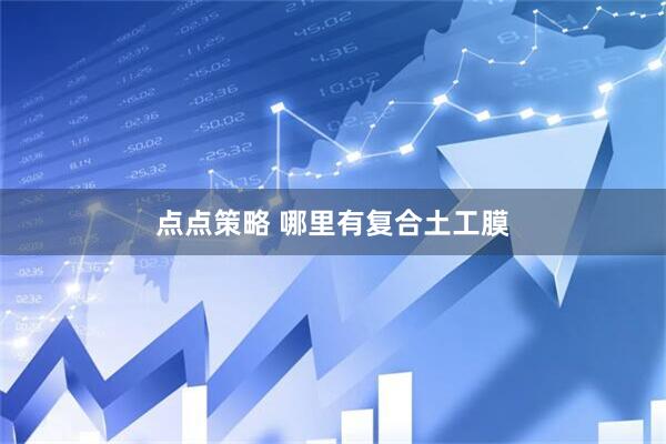 点点策略 哪里有复合土工膜