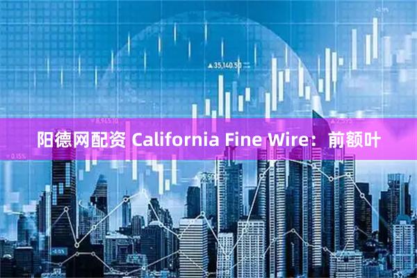 阳德网配资 California Fine Wire：前额叶
