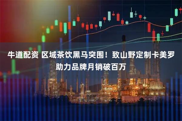 牛道配资 区域茶饮黑马突围！致山野定制卡美罗助力品牌月销破百万
